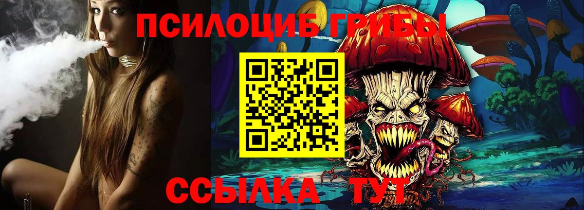 Сатка  Псилоцибиновые грибы Cubensis  Вход с VPN 