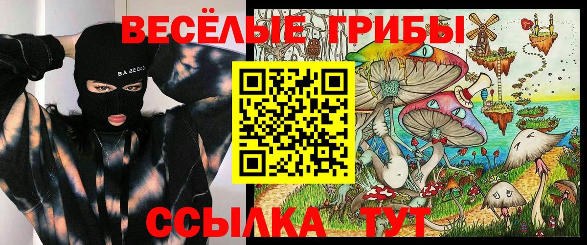 Псилоцибиновые грибы Cubensis Сатка