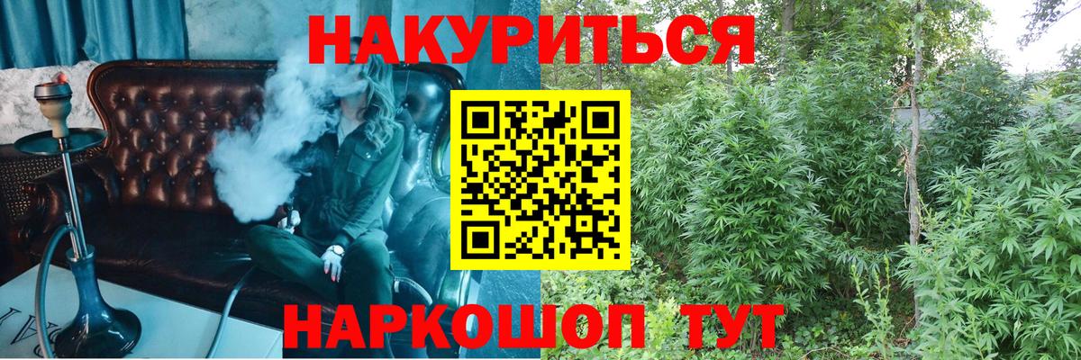 МАРИХУАНА планчик  Вход с VPN  Марихуана планчик  Каннабис индика  Канабис ГИДРОПОН  Сатка 